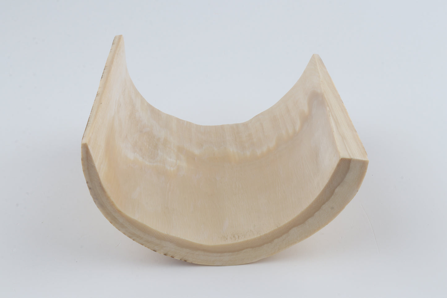 White-orange mammoth bark