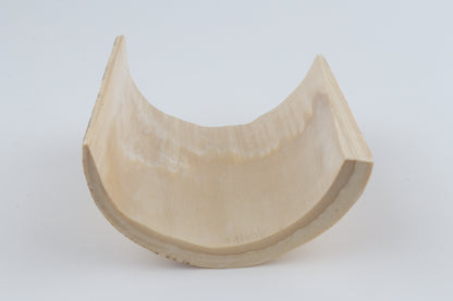 White-orange mammoth bark