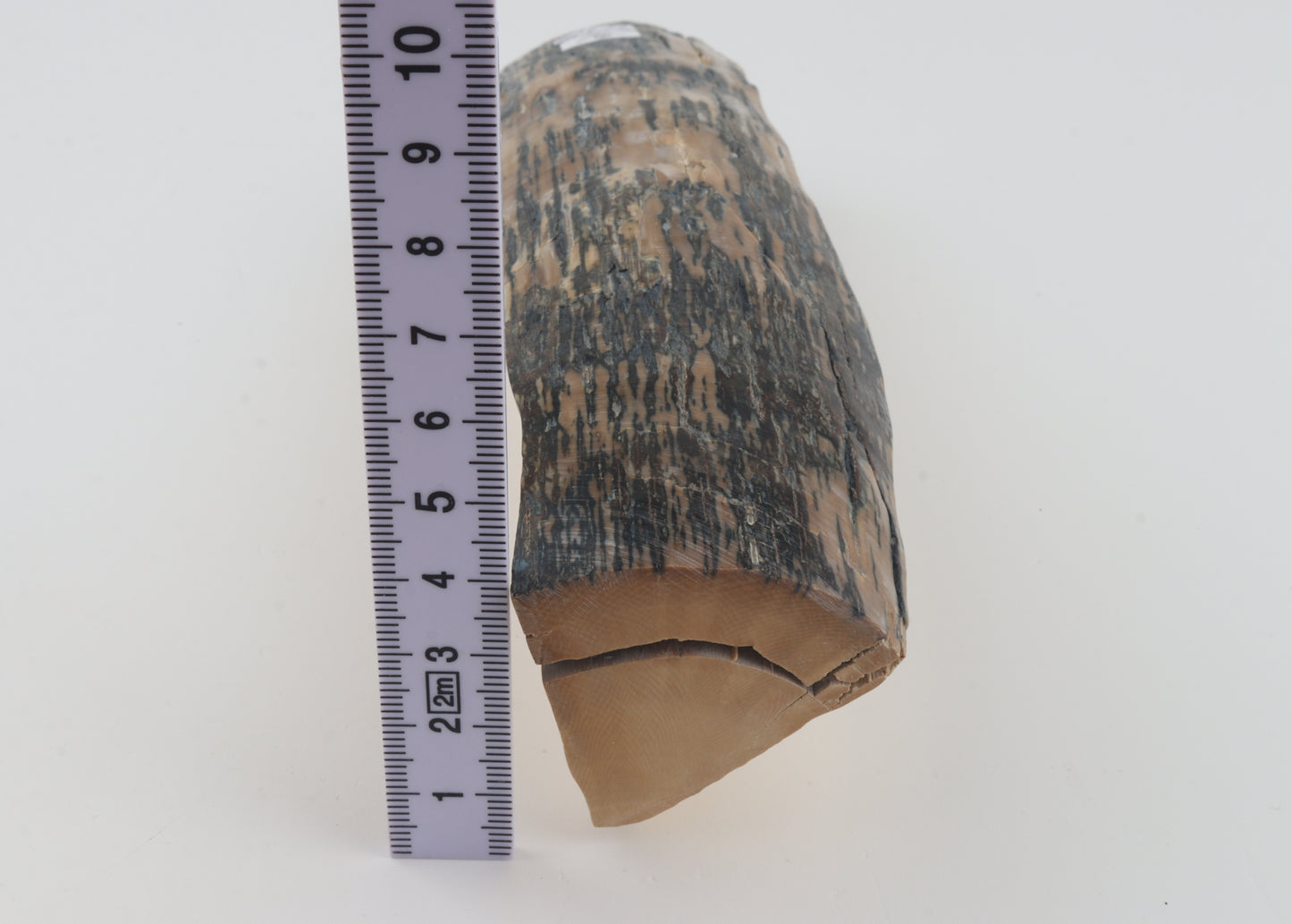 Creme-blue mammoth ivory piece