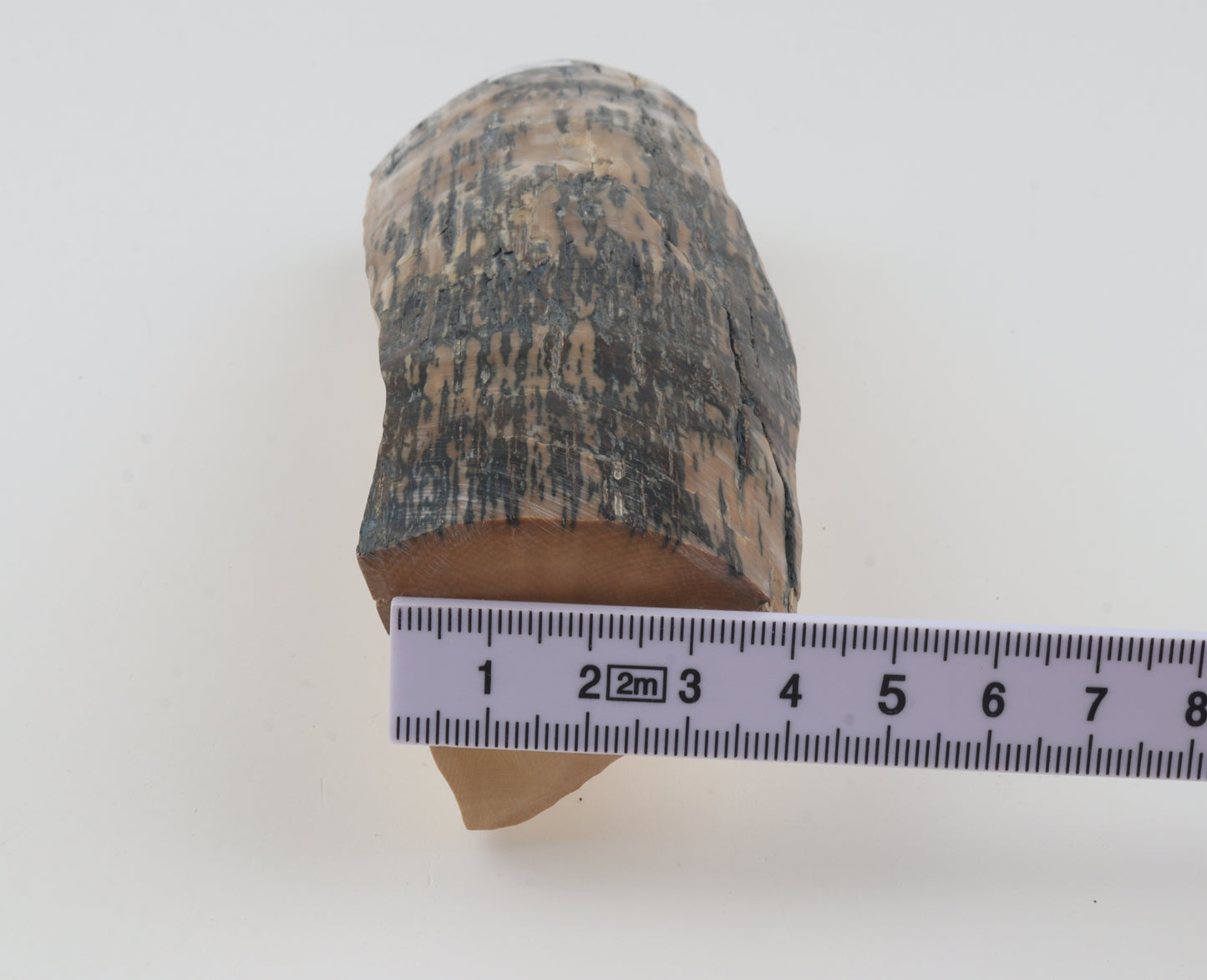 Creme-blue mammoth ivory piece
