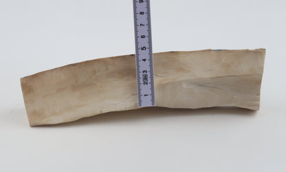 Creme-blue mammoth ivory piece