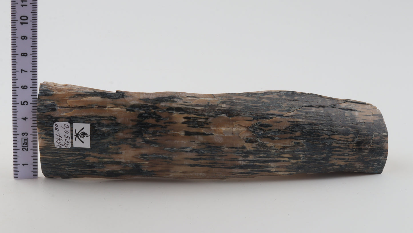 Creme-blue mammoth ivory piece