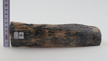 Creme-blue mammoth ivory piece