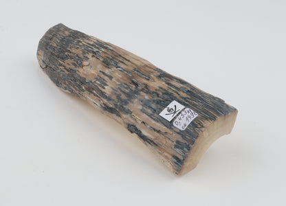 Creme-blue mammoth ivory piece