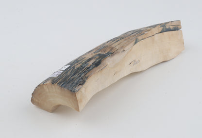 Creme-blue mammoth ivory piece