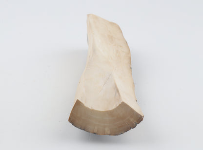 Creme-blue mammoth ivory piece
