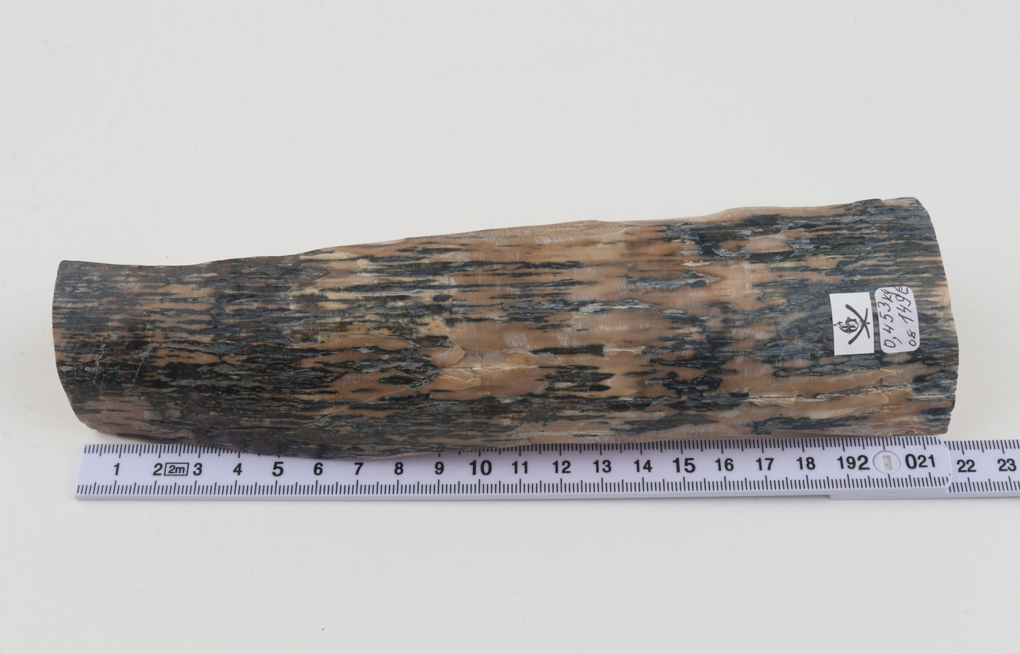 Creme-blue mammoth ivory piece
