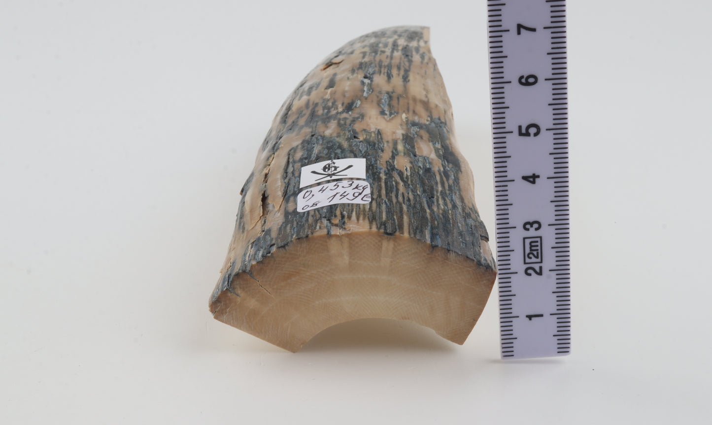 Creme-blue mammoth ivory piece