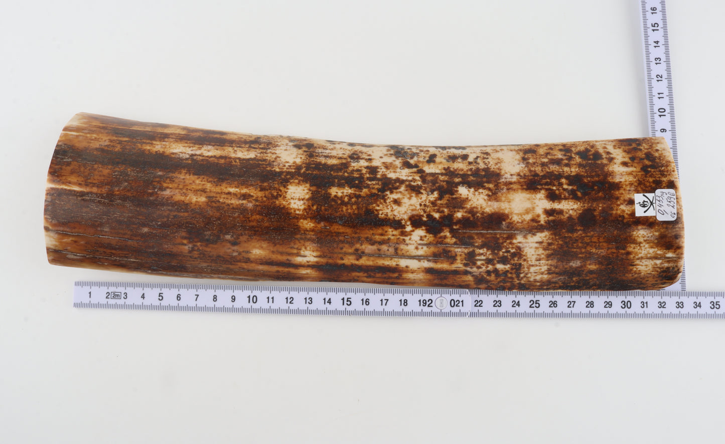 Natural woolly mammoth bark