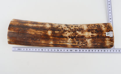 Natural woolly mammoth bark