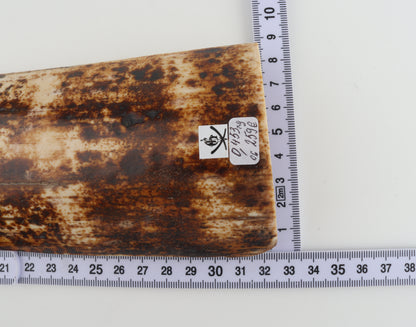 Natural woolly mammoth bark