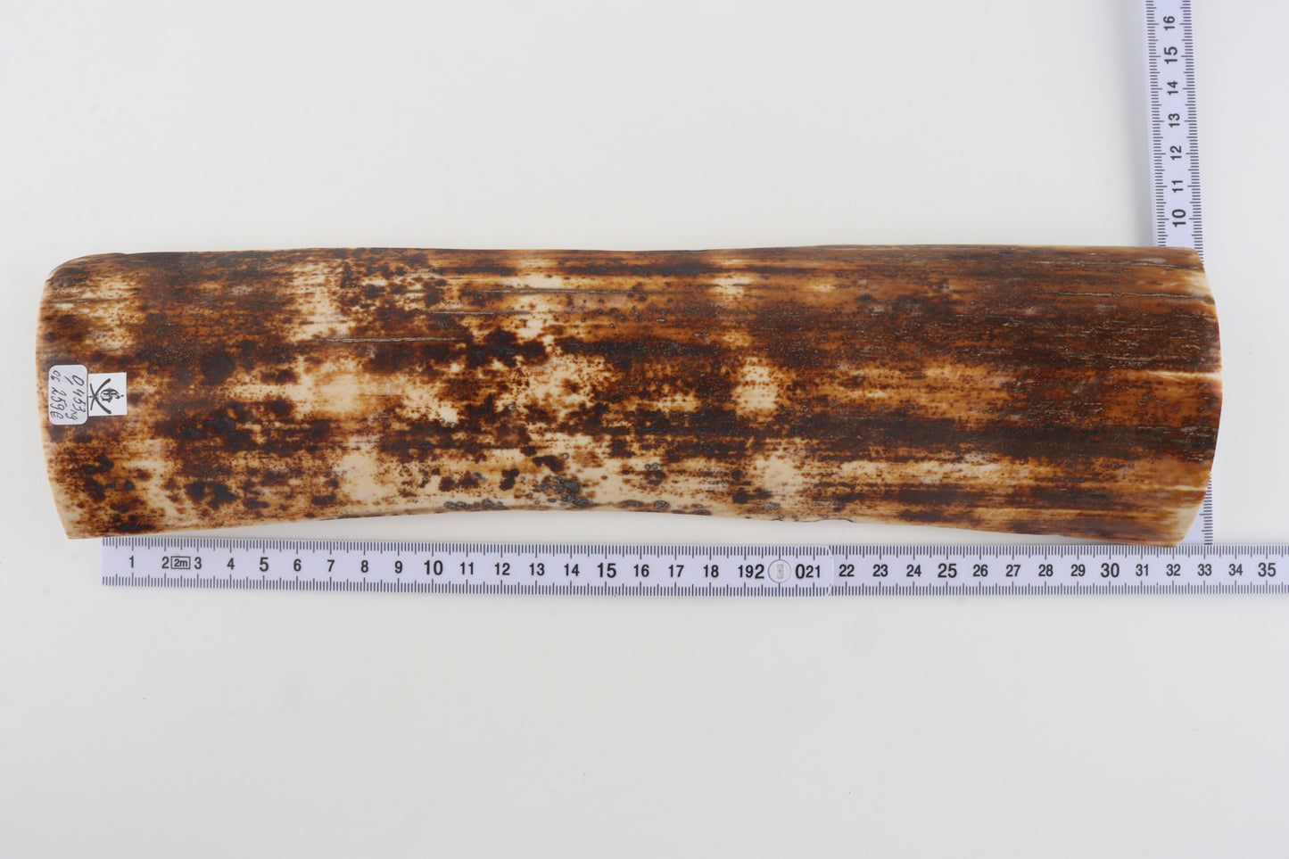 Natural woolly mammoth bark