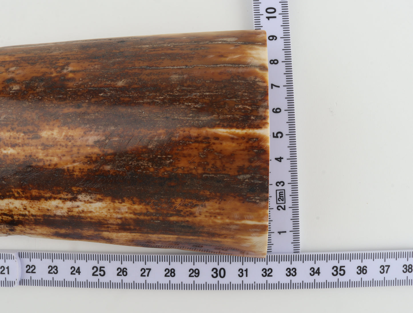 Natural woolly mammoth bark