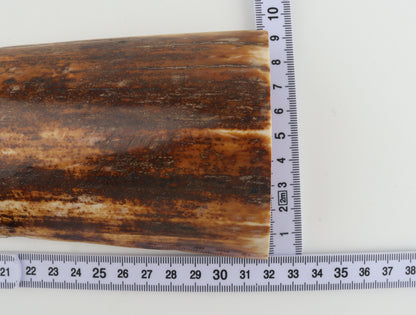 Natural woolly mammoth bark