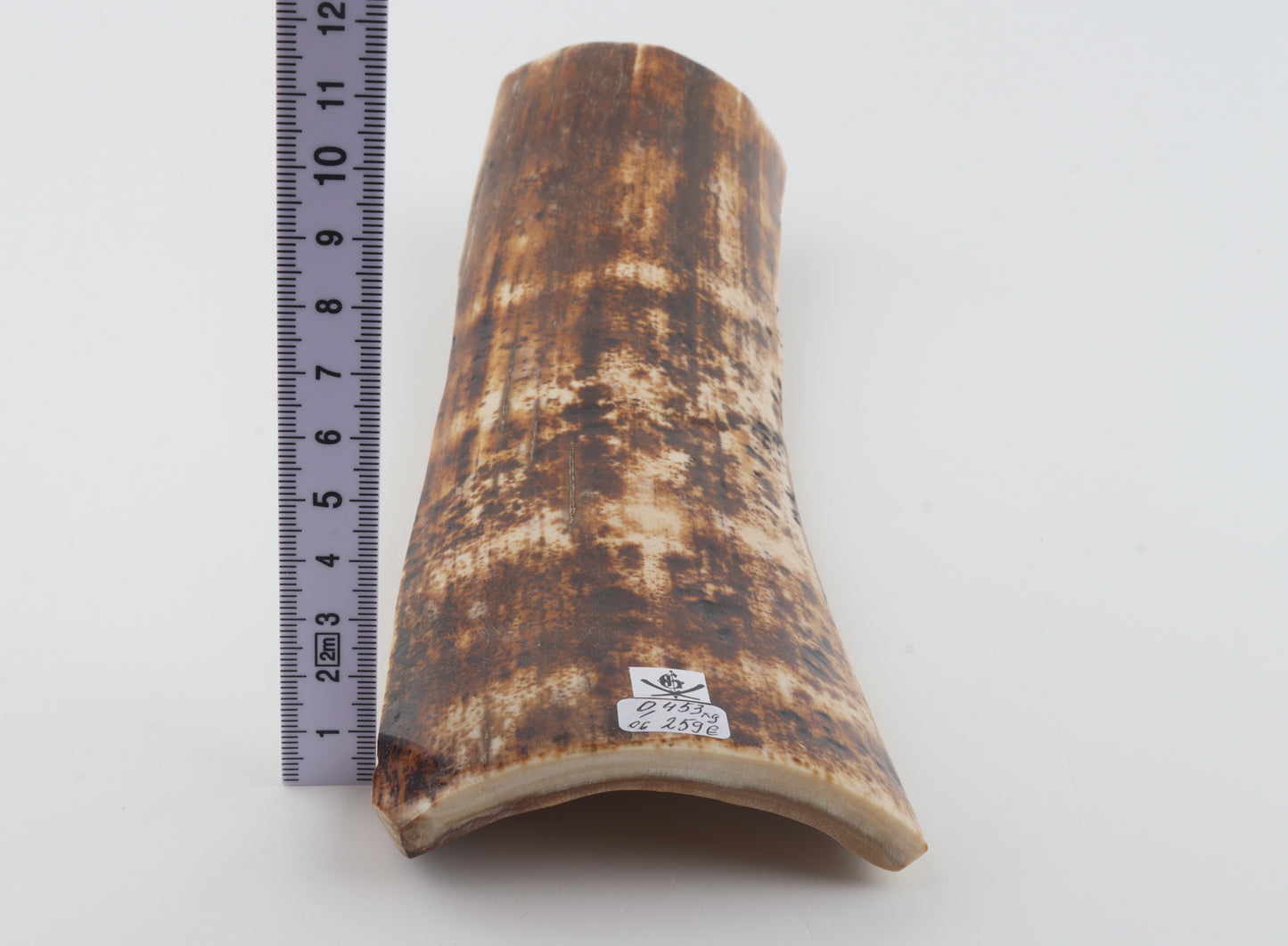Natural woolly mammoth bark