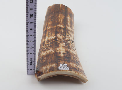 Natural woolly mammoth bark