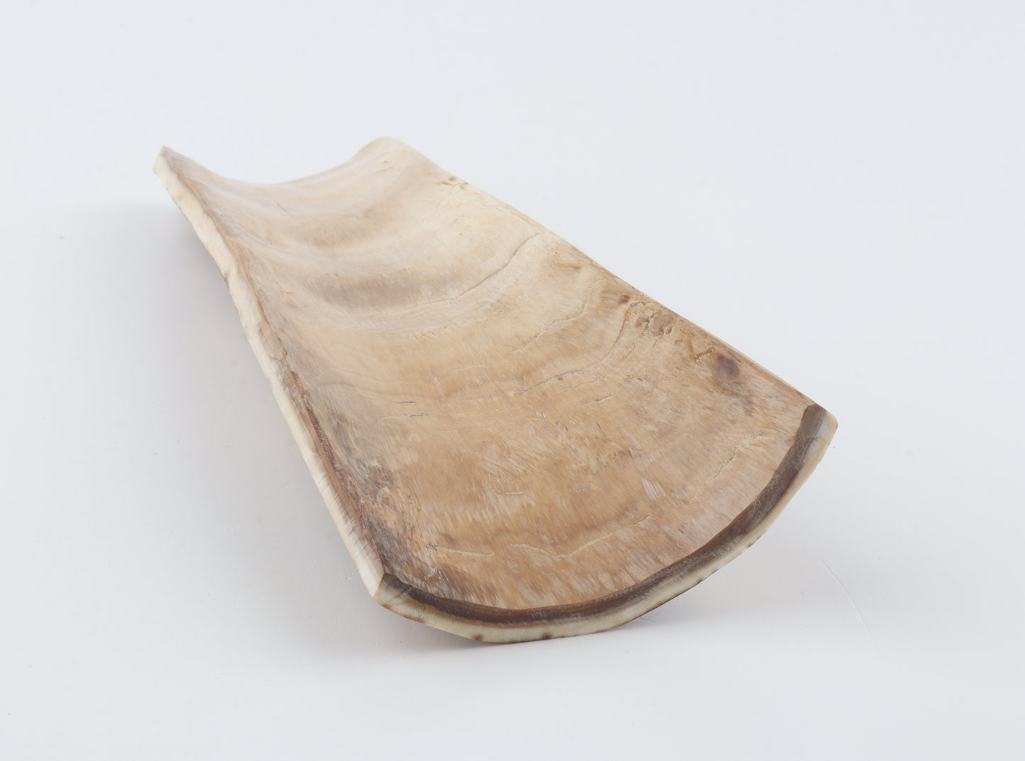 Natural woolly mammoth bark