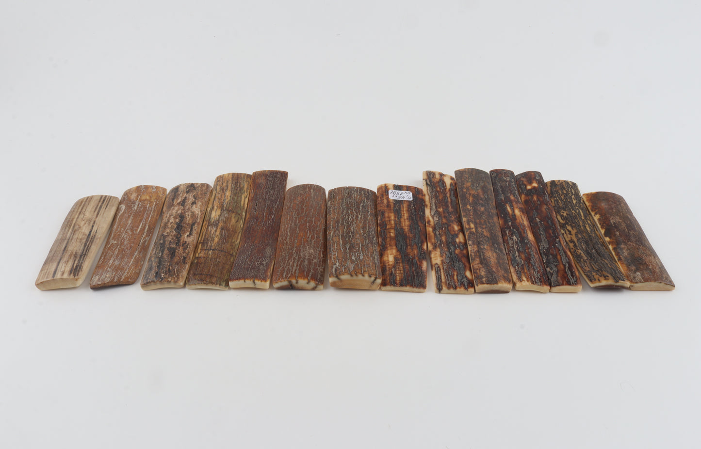 Natural woolly mammoth bark pieces