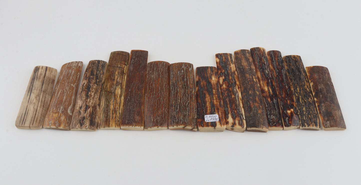 Natural woolly mammoth bark pieces