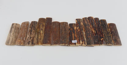 Natural woolly mammoth bark pieces