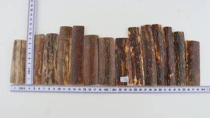 Natural woolly mammoth bark pieces