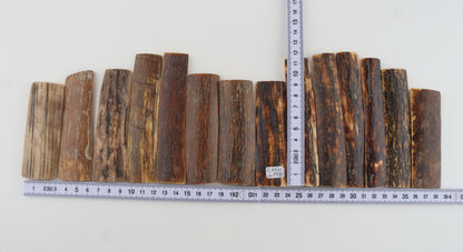 Natural woolly mammoth bark pieces