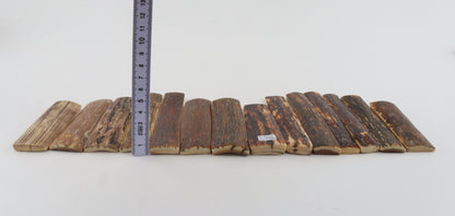 Natural woolly mammoth bark pieces