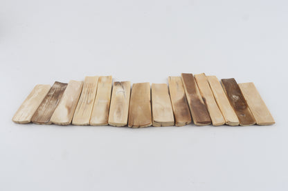 Natural woolly mammoth bark pieces