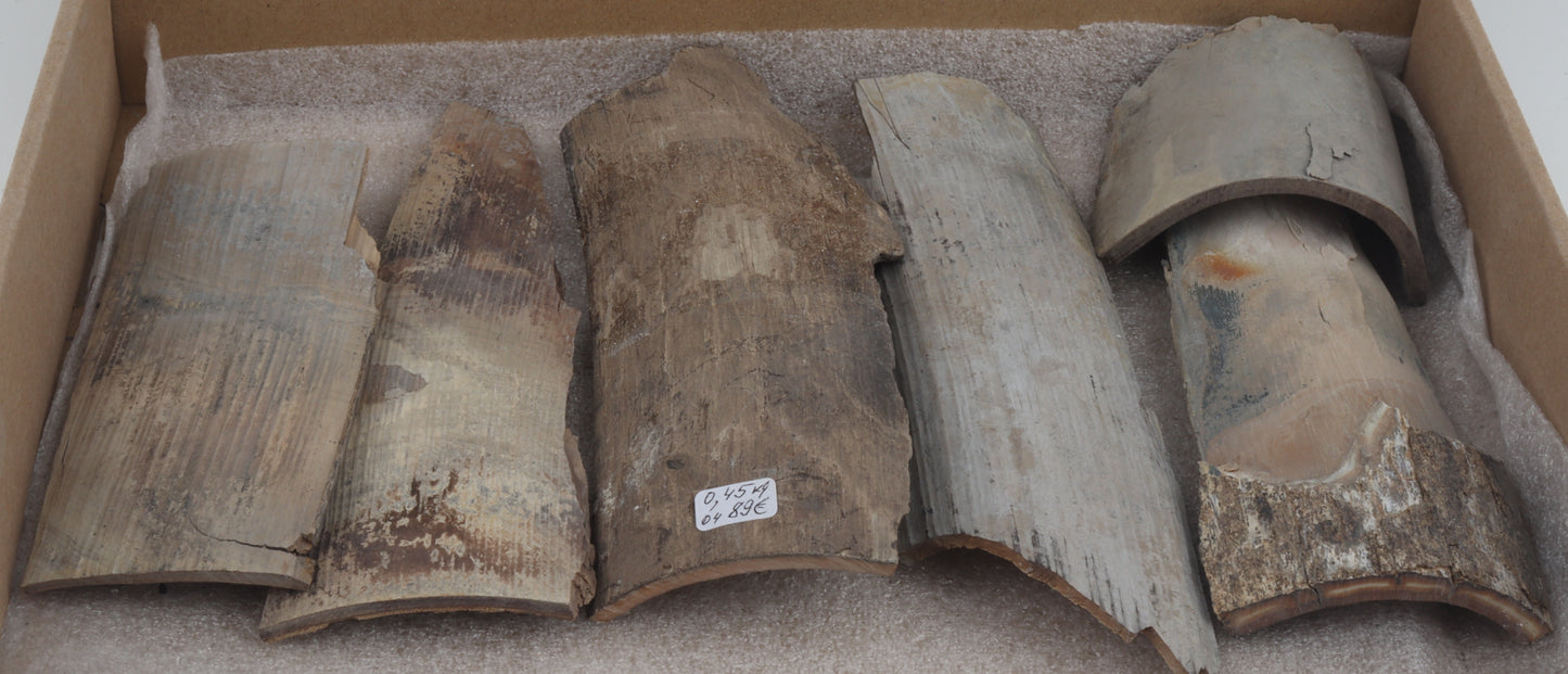 Untreated mammoth ivory pieces