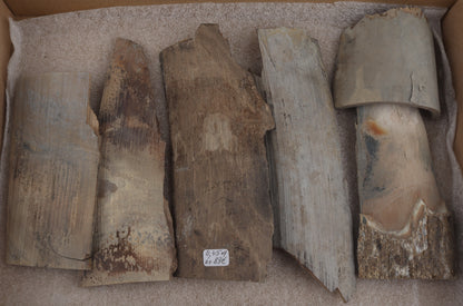 Untreated mammoth ivory pieces