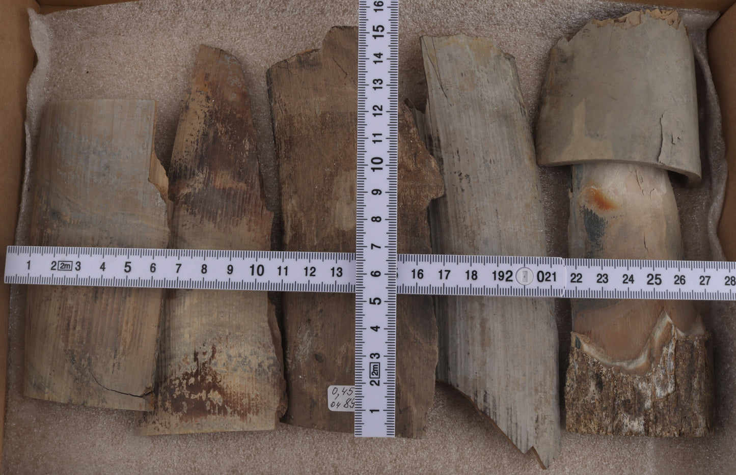 Untreated mammoth ivory pieces