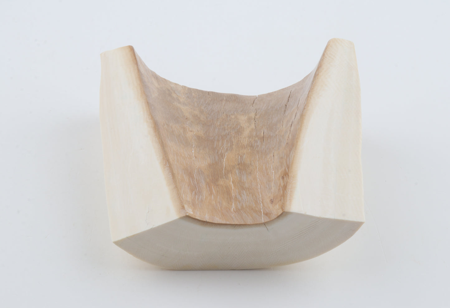 White mammoth ivory segment