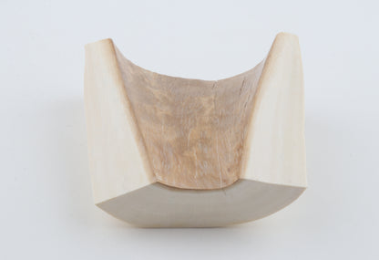 White mammoth ivory segment