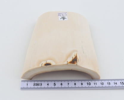 White mammoth ivory segment