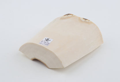White mammoth ivory segment