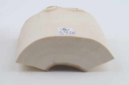 White mammoth ivory segment