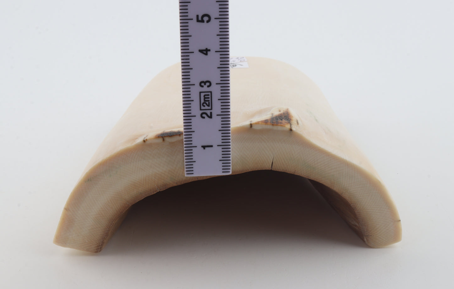 White mammoth ivory segment