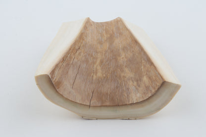 White mammoth ivory segment