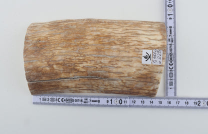 Natural mammoth ivory piece