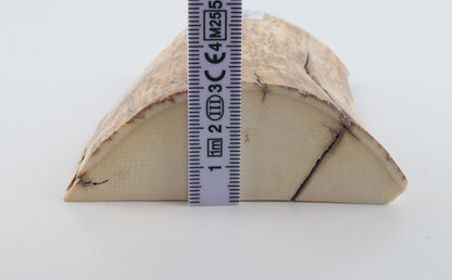 Natural mammoth ivory piece