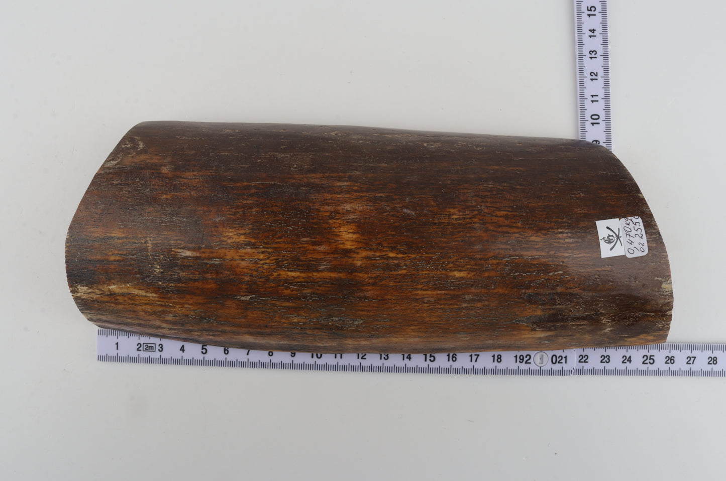 Brown-orange mammoth bark