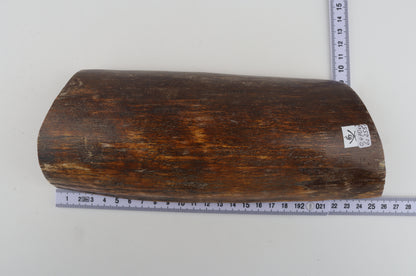 Brown-orange mammoth bark