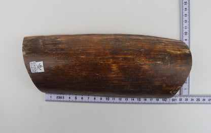 Brown-orange mammoth bark