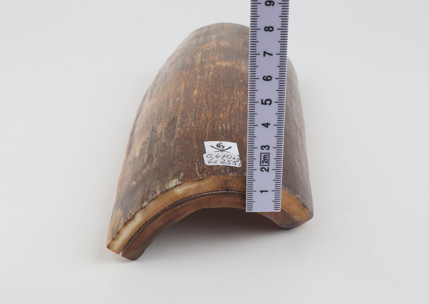 Brown-orange mammoth bark