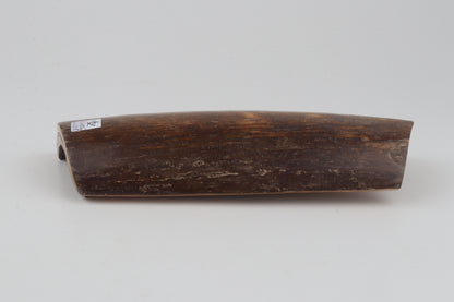 Brown-orange mammoth bark