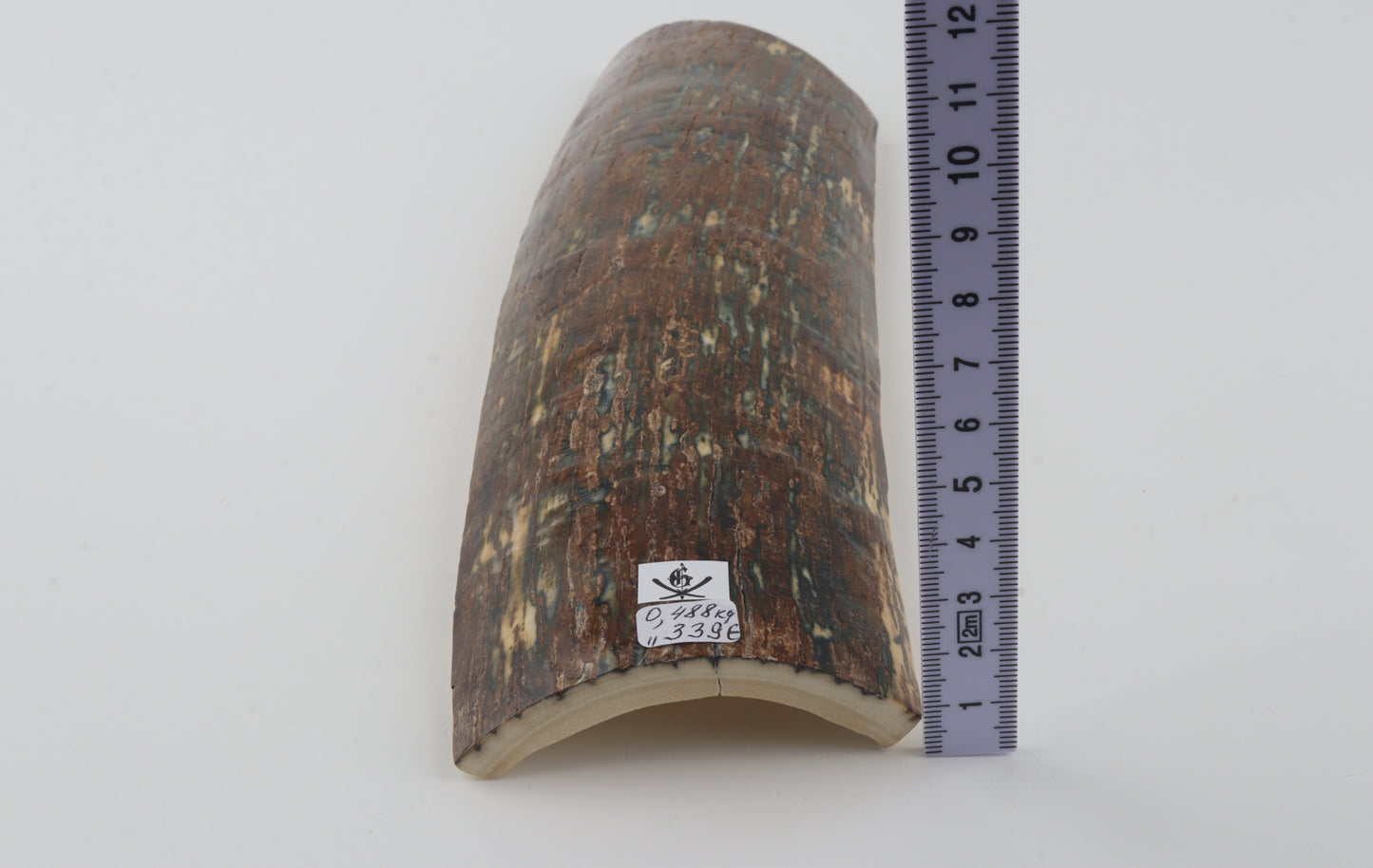 Multicolored mammoth bark