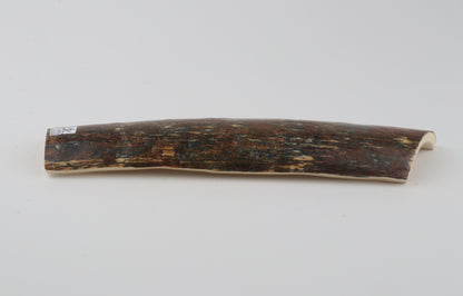 Multicolored mammoth bark