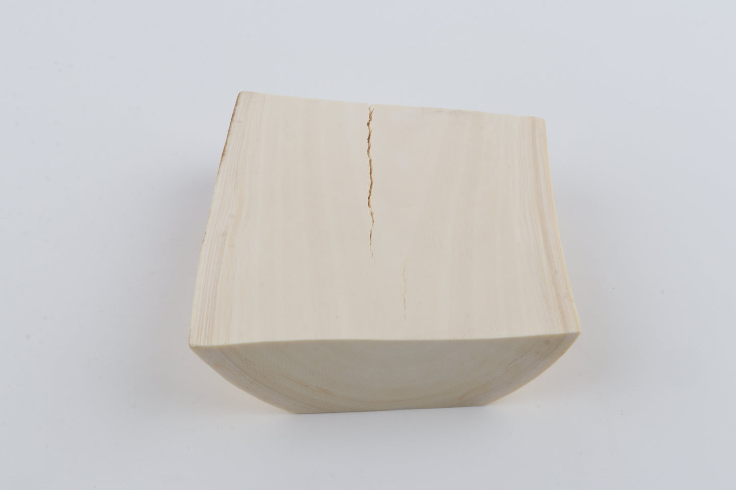 White mammoth ivory segment