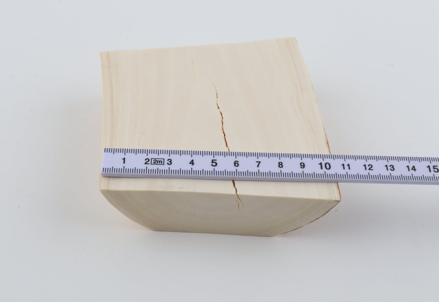 White mammoth ivory segment