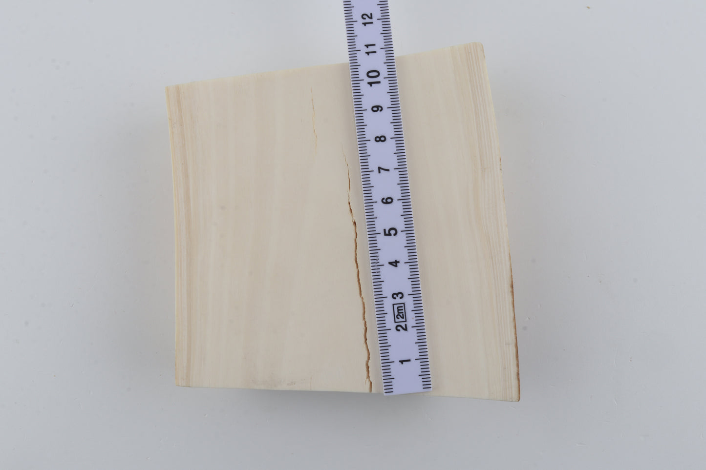 White mammoth ivory segment